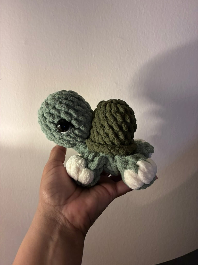 Hue the Tiny Turtle