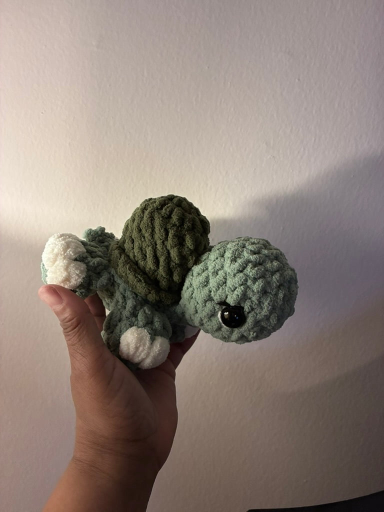 Hue the Tiny Turtle