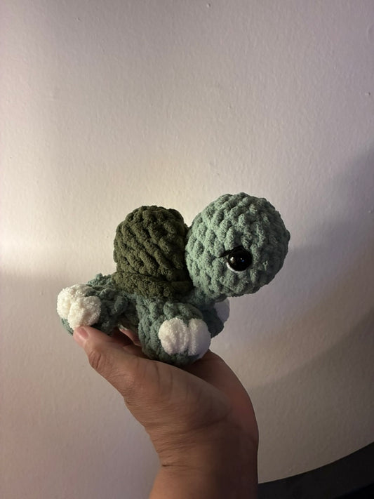 Hue the Tiny Turtle